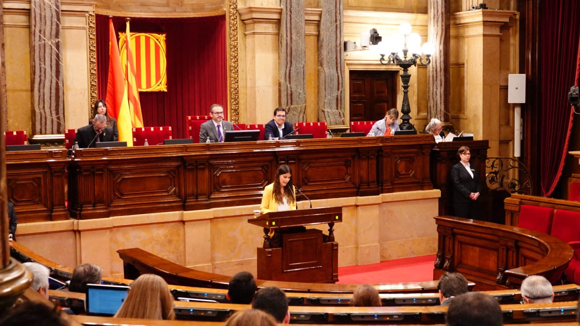 El Parlament apoya a los CDR contra la campaña de criminalización del Estado