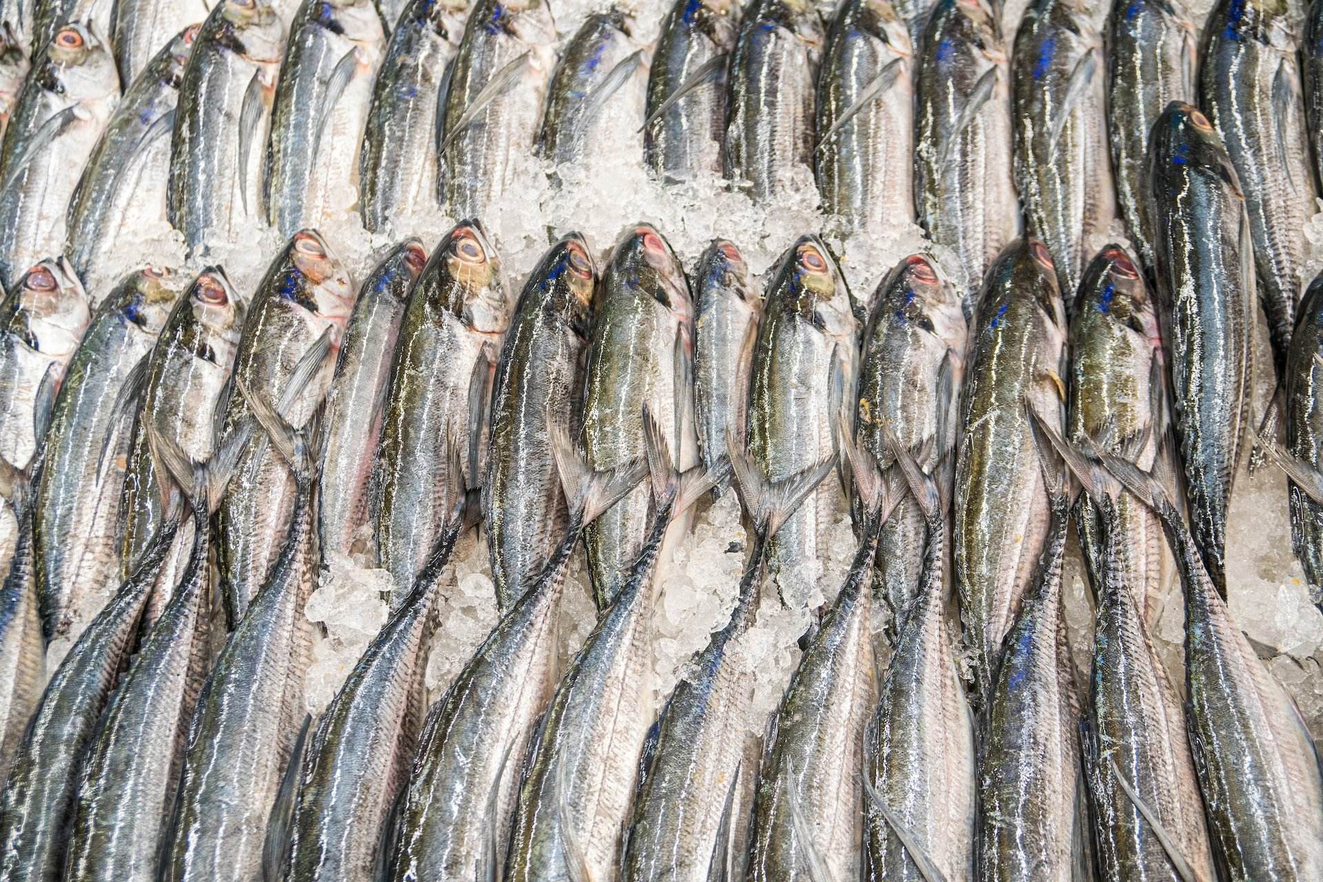 🐟​ 5 trucos para reconocer el pescado fresco 