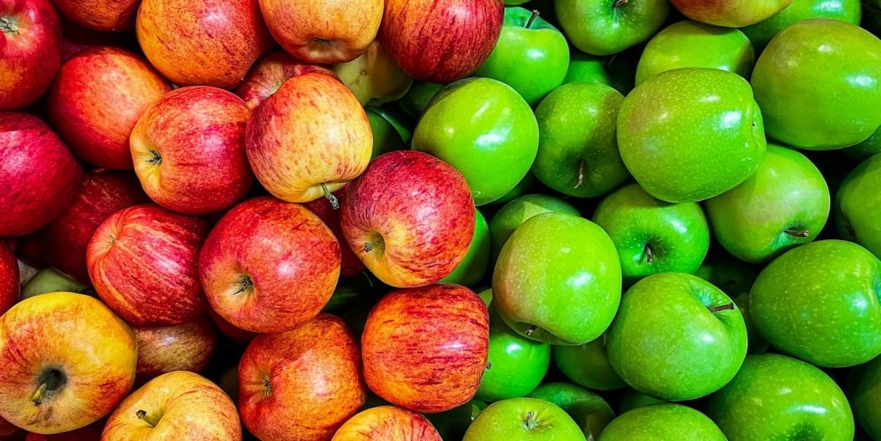 Fruita Fruita