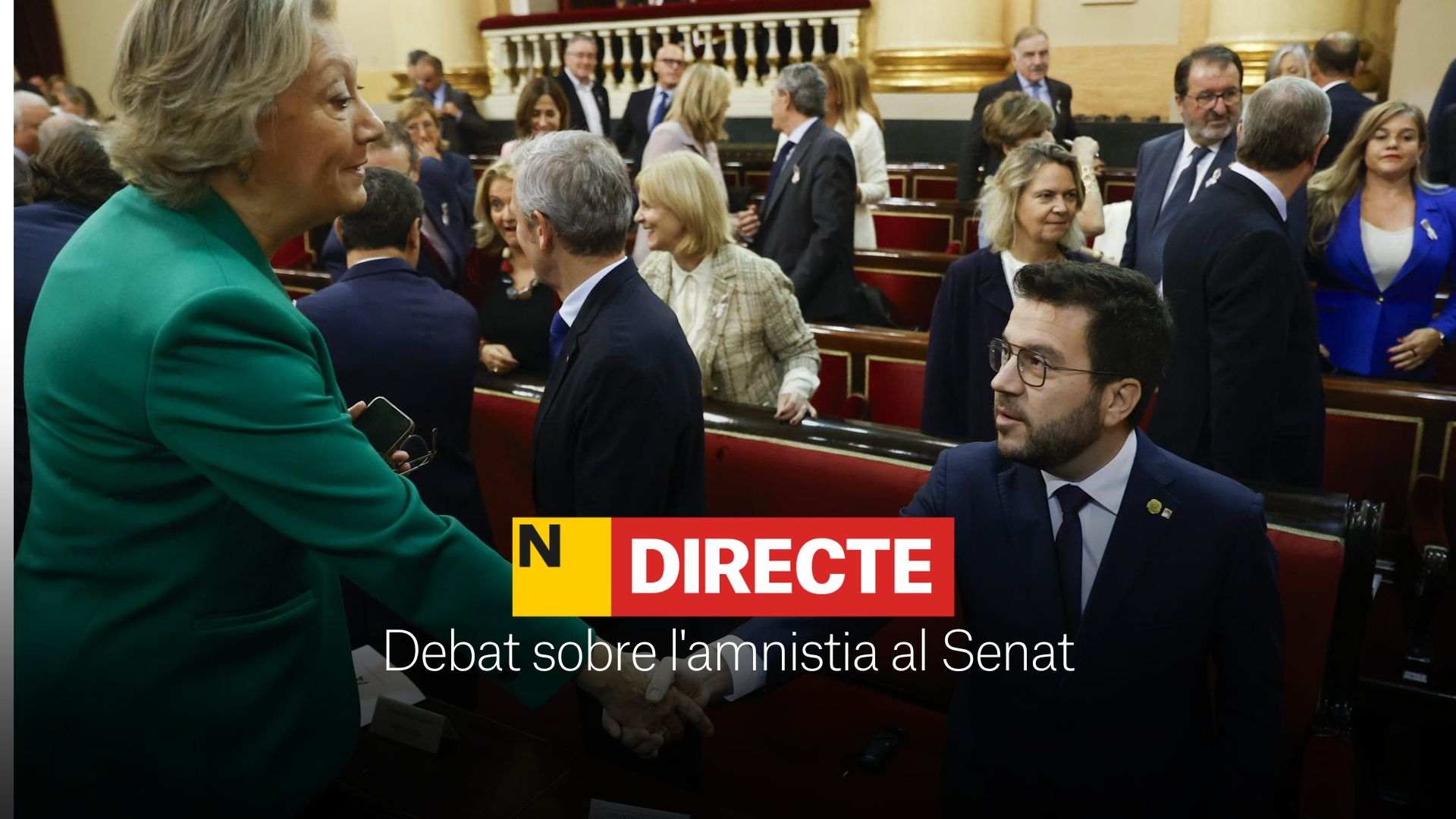 Debate sobre la amnistía en el Senado, DIRECTO | Última hora de la Comisión de Comunidades Autónomas