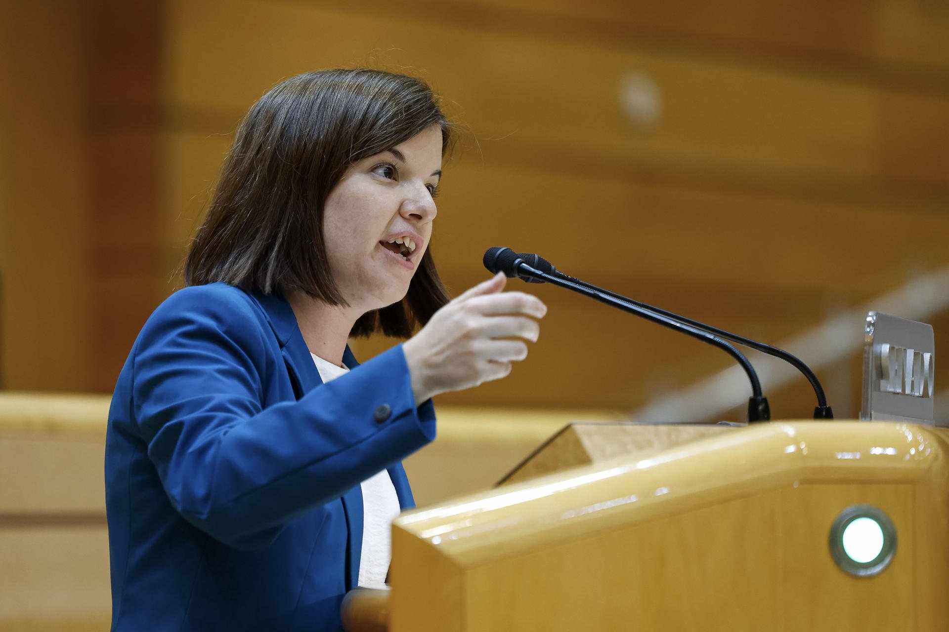 ERC acusa al PP de "reafirmarse en la estrategia represiva" en el Senado contra la amnistía