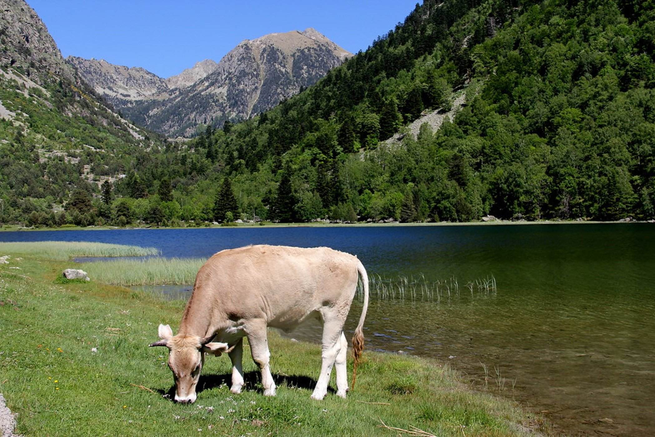 Se crea el Parque Nacional de Aigüestortes i Estany de Sant Maurici