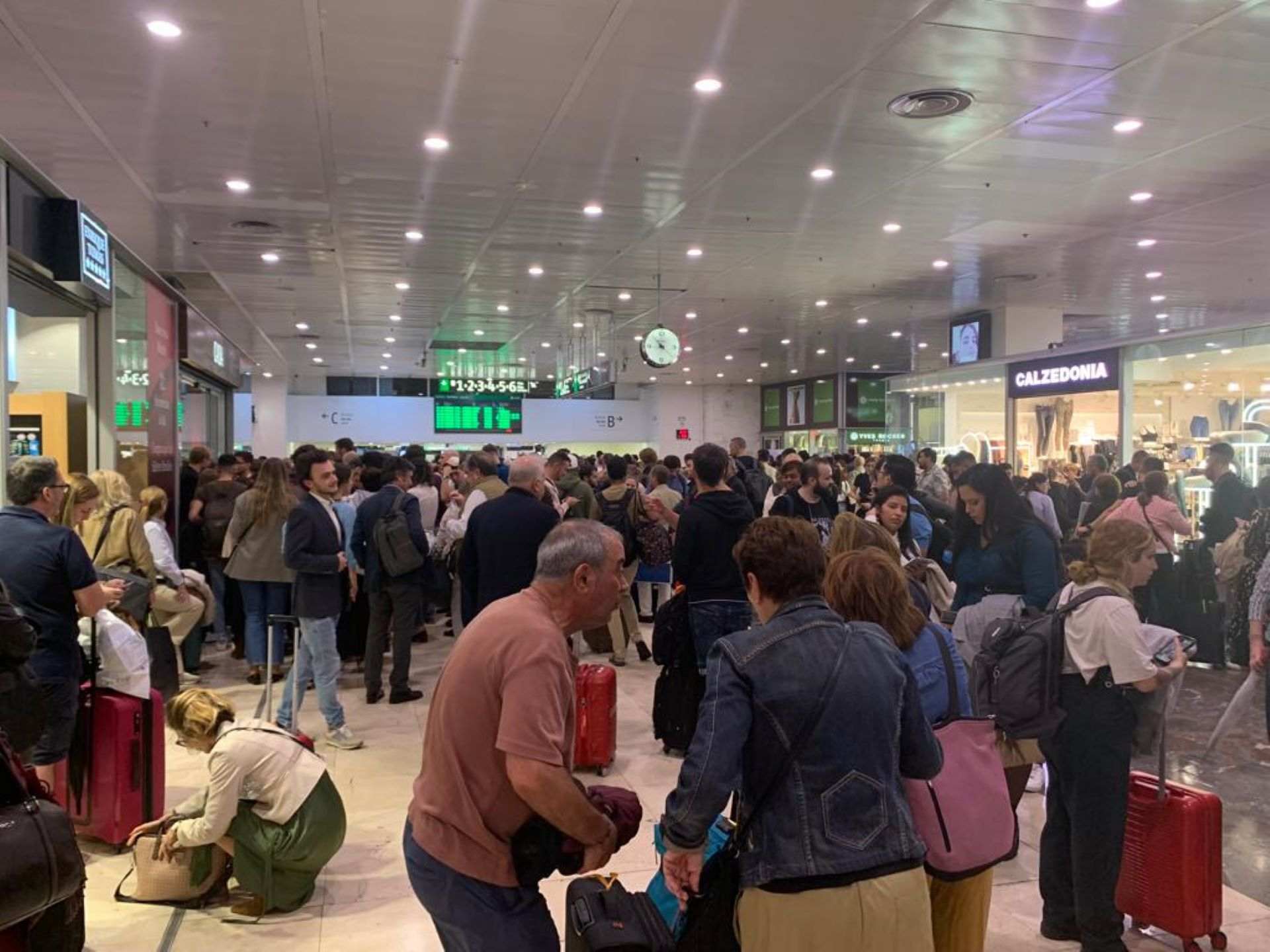 Caos a Barcelona per l'aturada de la línia d'AVE a Madrid: "No tenim informació"