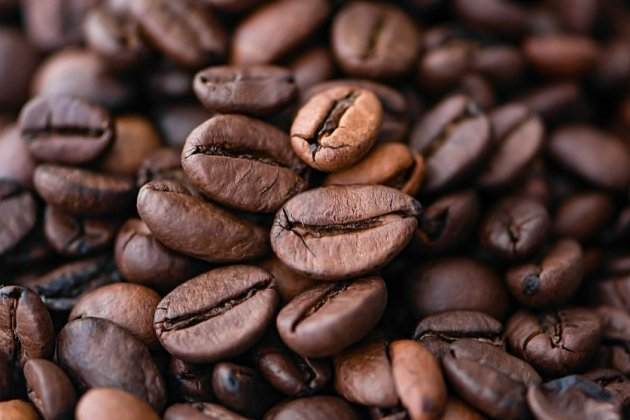 Cafè Kopi Luwak Cafè Kopi Luwak