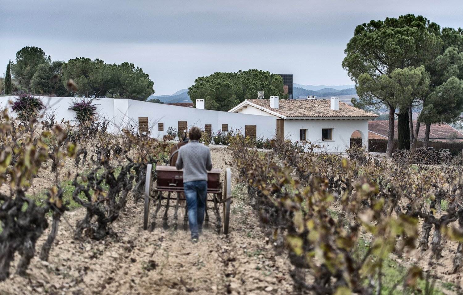 Raventós i Blanc demuestra el compromiso con los viticultores con una acción pionera en el país
