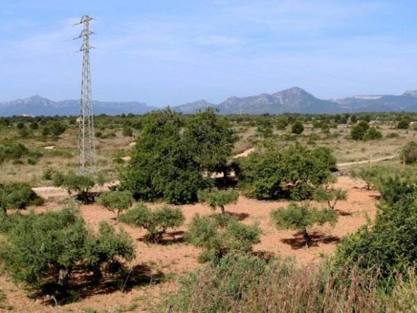 terreny mont roig del camp fábrica Lotte terreny mont roig del camp fábrica Lotte