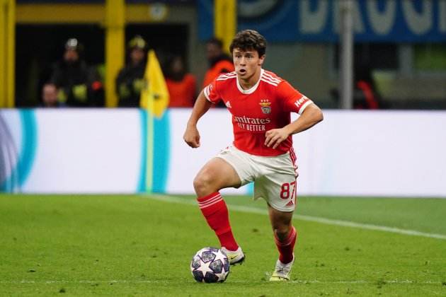 Joao Neves, disputando un partido con el Benfica de Champions League / Foto: Europa Press