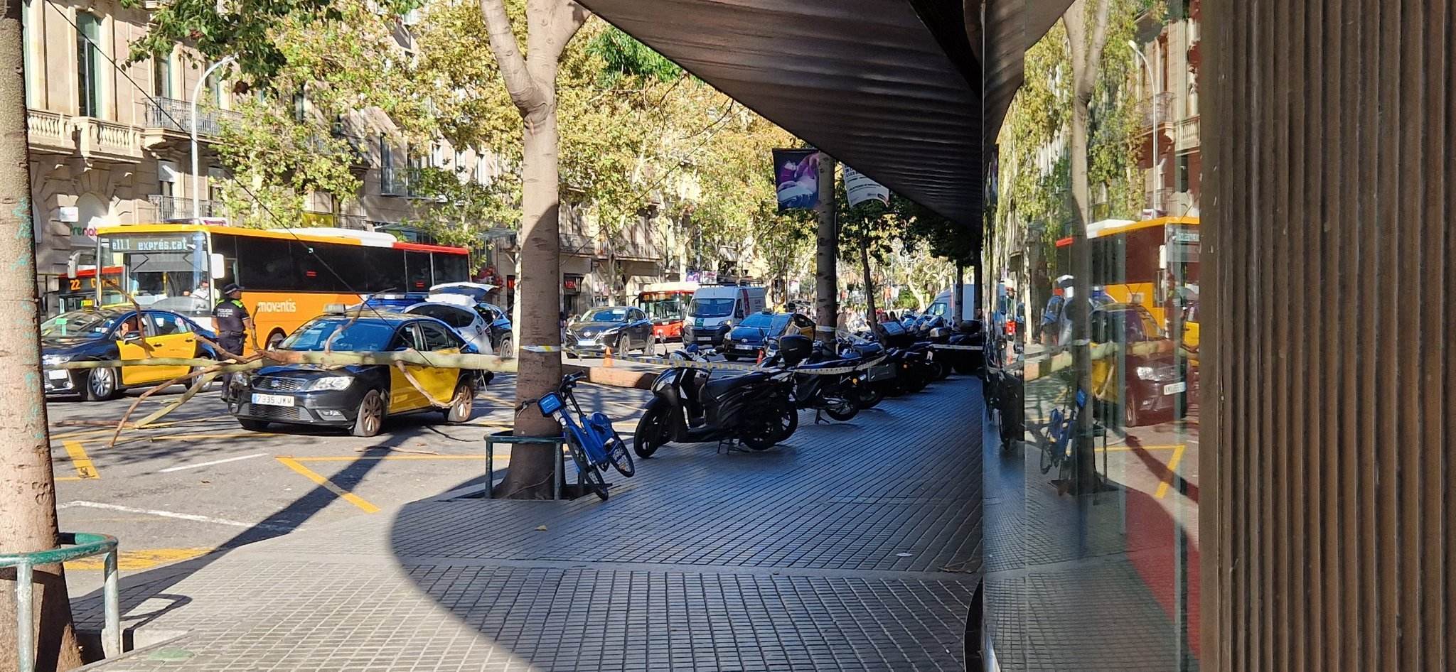 Cae un árbol encima de un taxi junto a la plaza de Catalunya de Barcelona