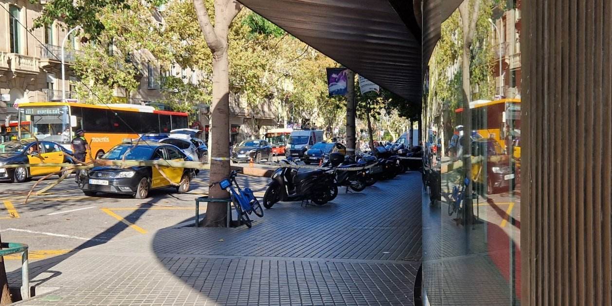 Cae un árbol encima de un taxi junto a la plaza de Catalunya de Barcelona