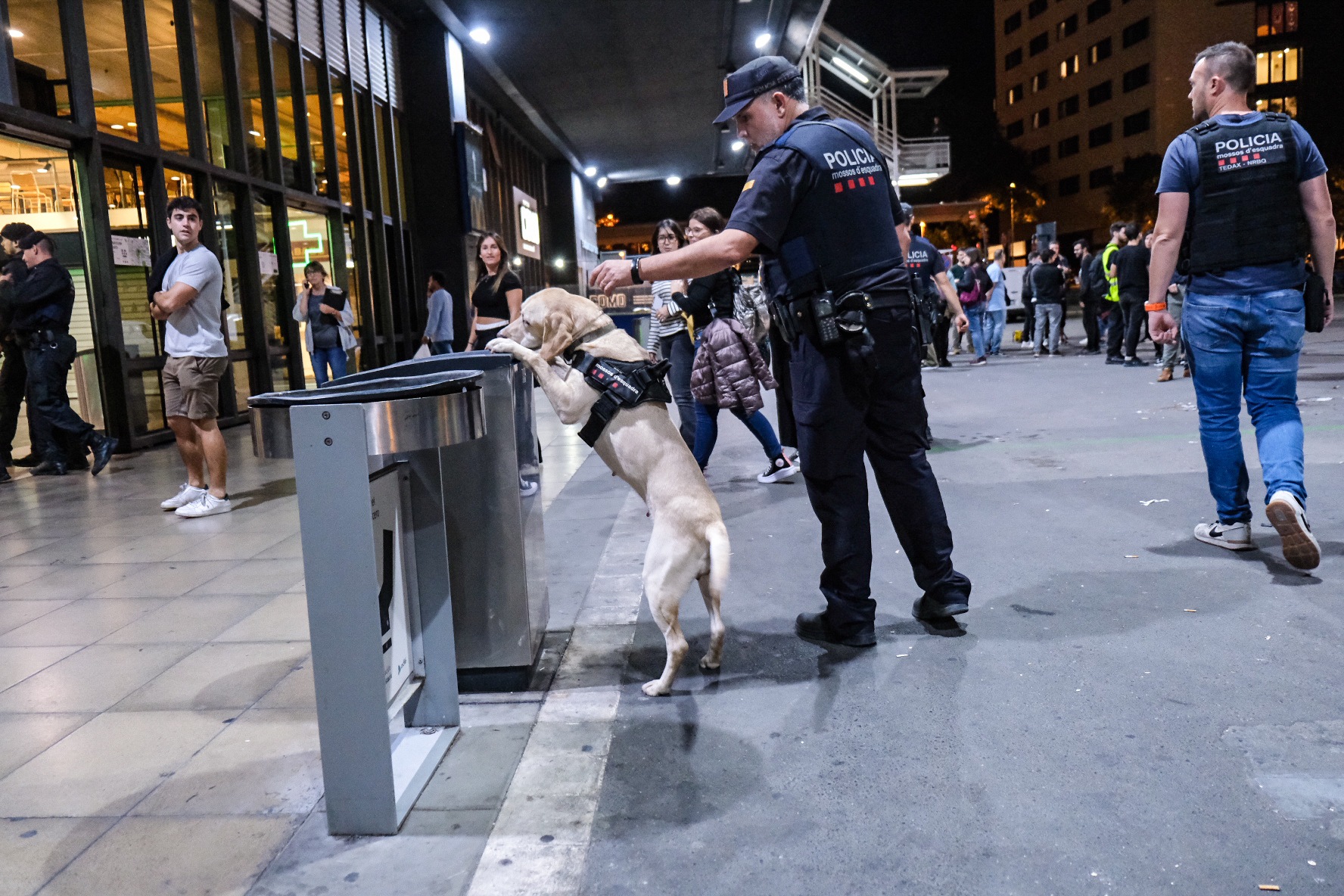 Hi ha participat la Unitat Canina i la Unitat Tedax