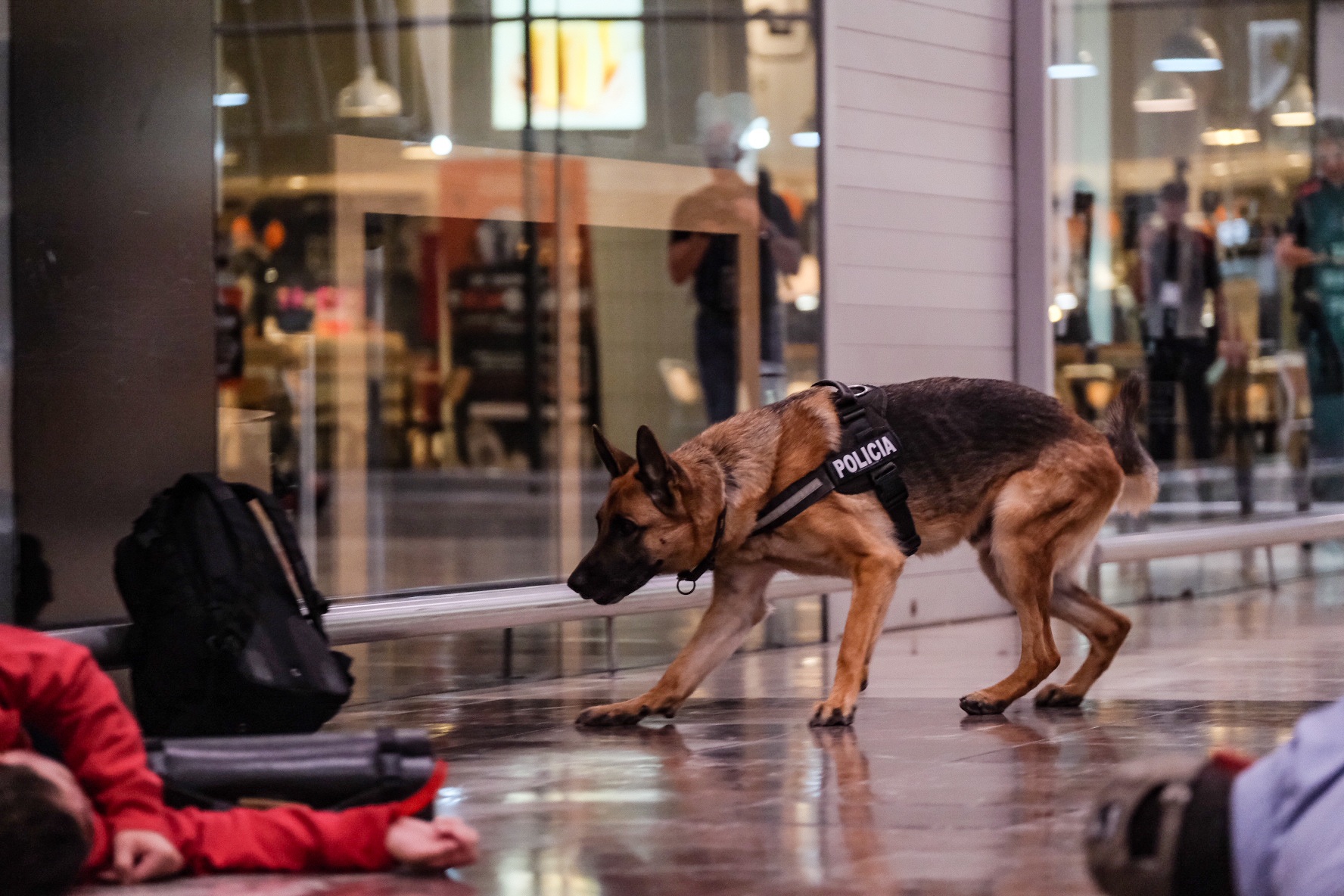 La Unitat Canina dels Mossos ha revisat objectes abandonats a la zona per descartar més explosius