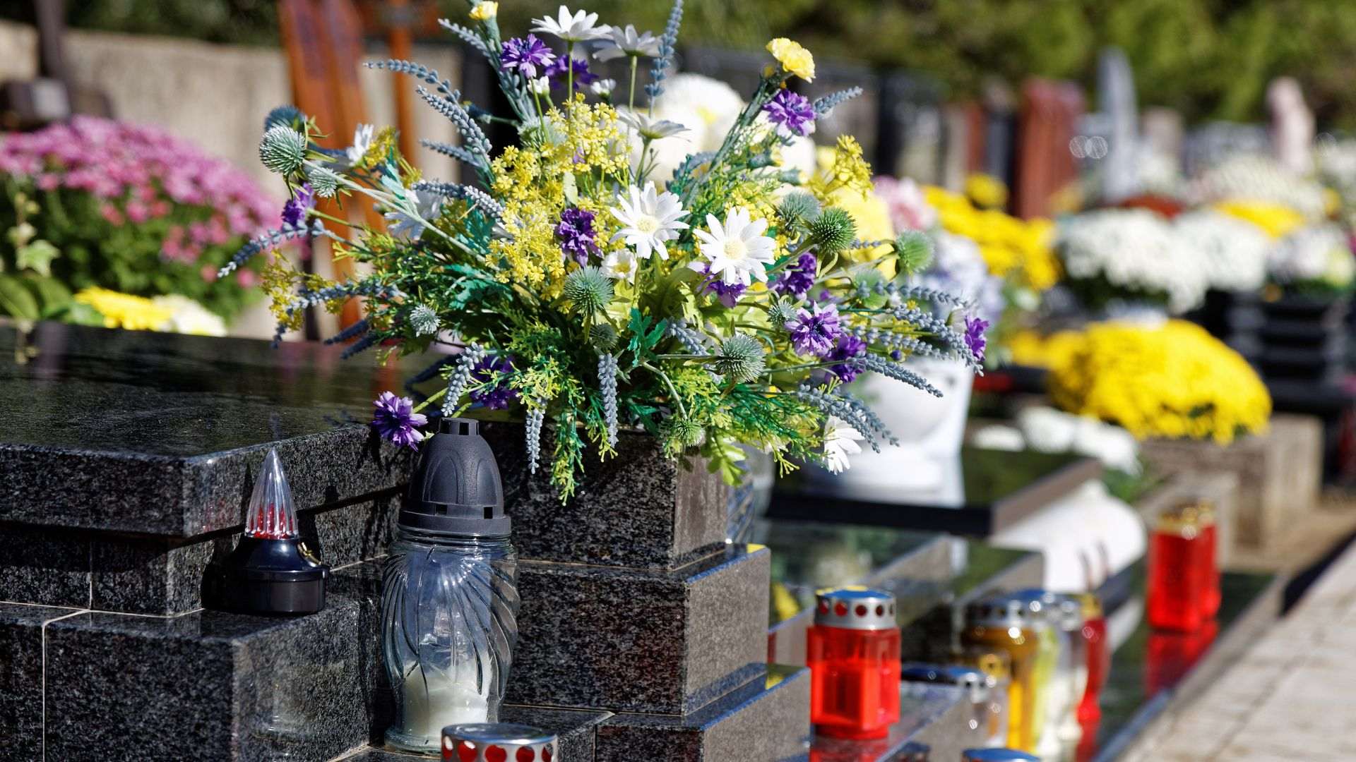 Mejores flores para llevar al cementerio por Todos los Santos 2023