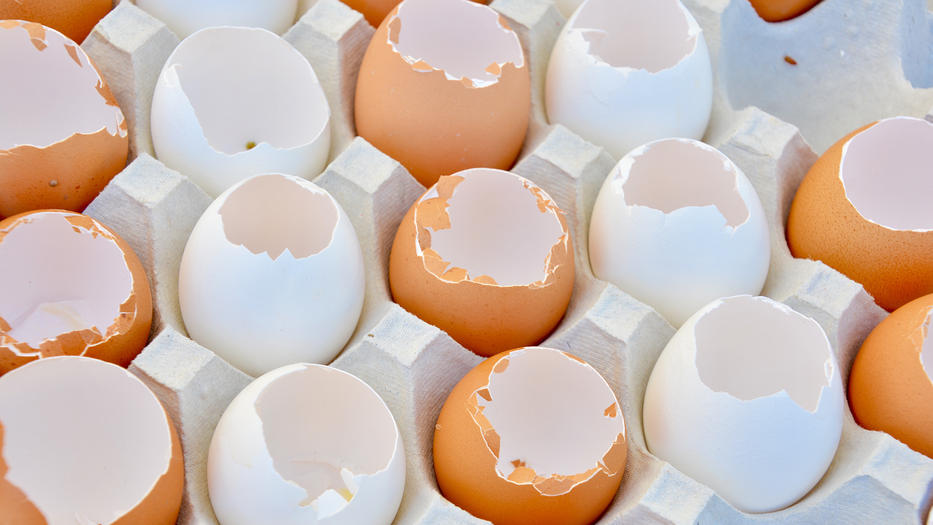 Sabies que les closques d'ou tenen més de 10 usos diferents? Te'ls expliquem