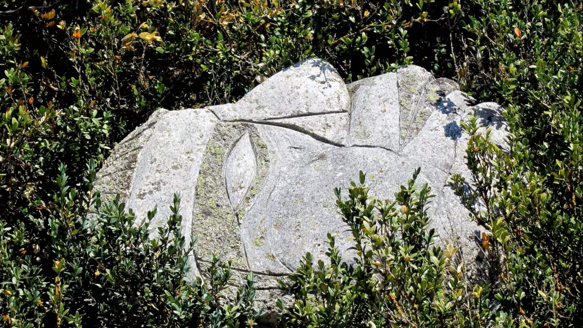 El mágico laberinto en Catalunya lleno de misteriosas piedras que te observan: un paisaje enigmático