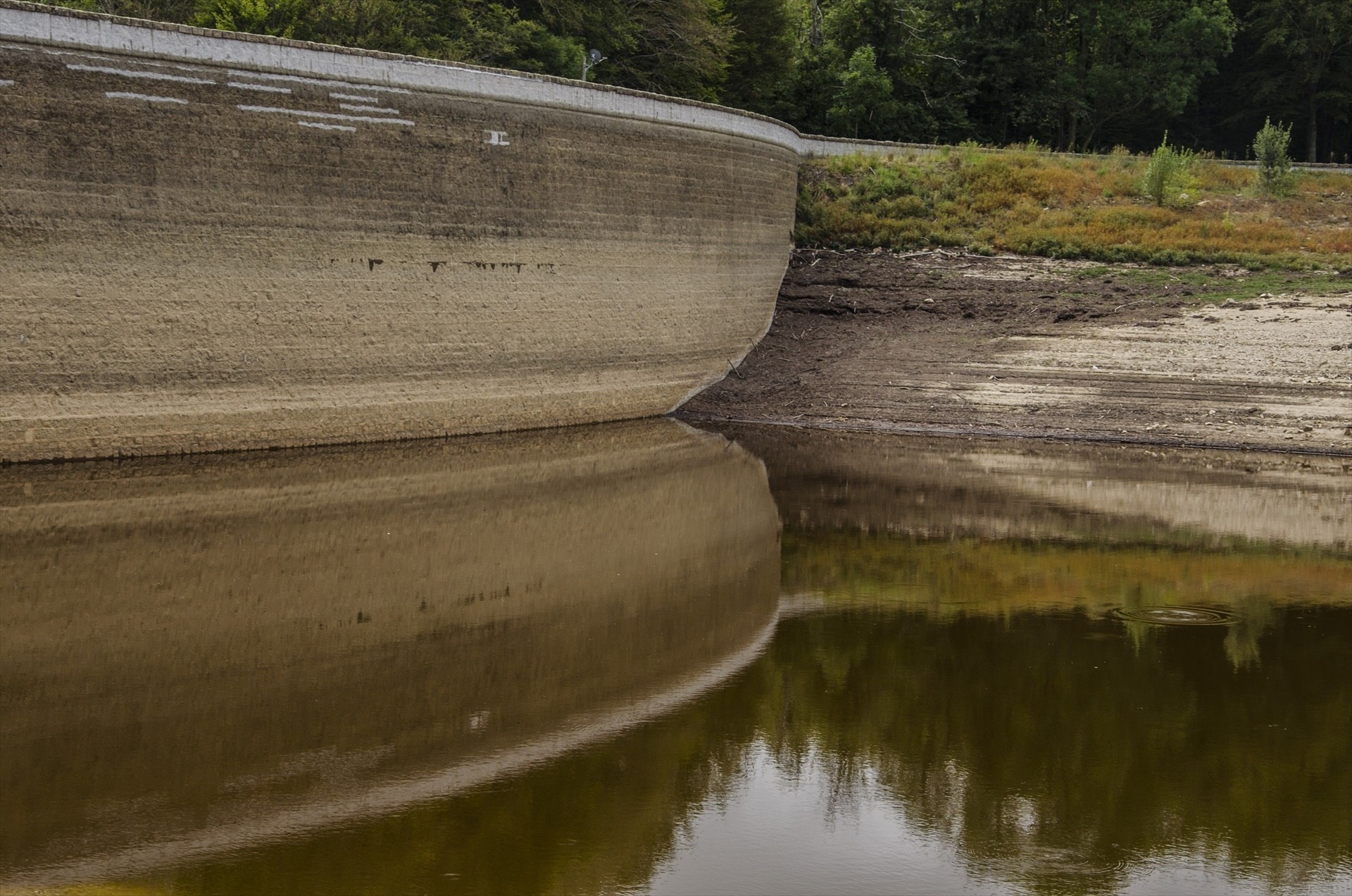 ¿Crees que se están adoptando suficientes medidas para combatir la sequía?