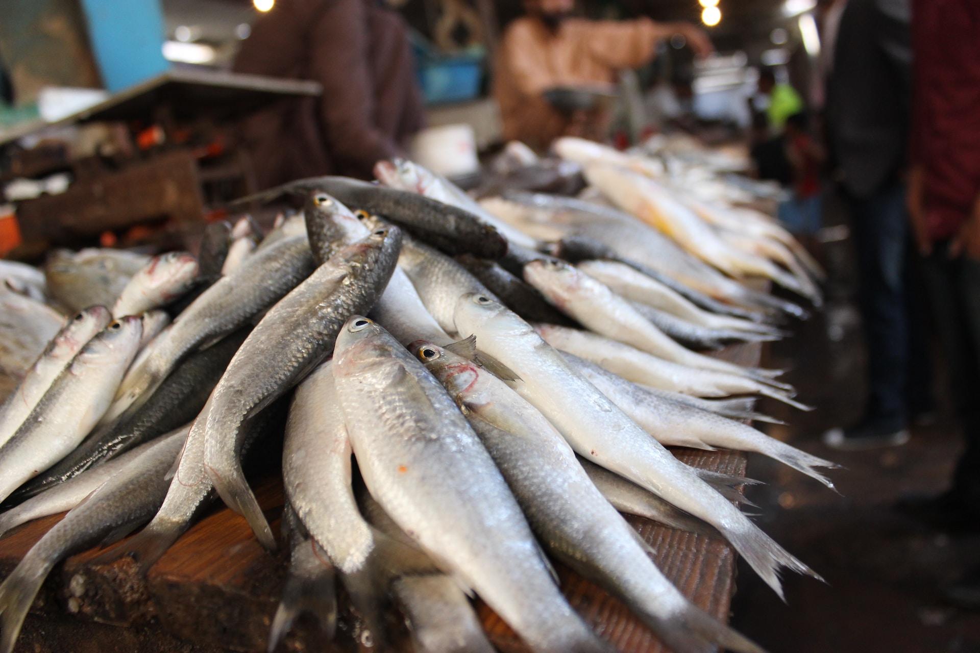 Propiedades del pescado blanco y azul para tu día a día