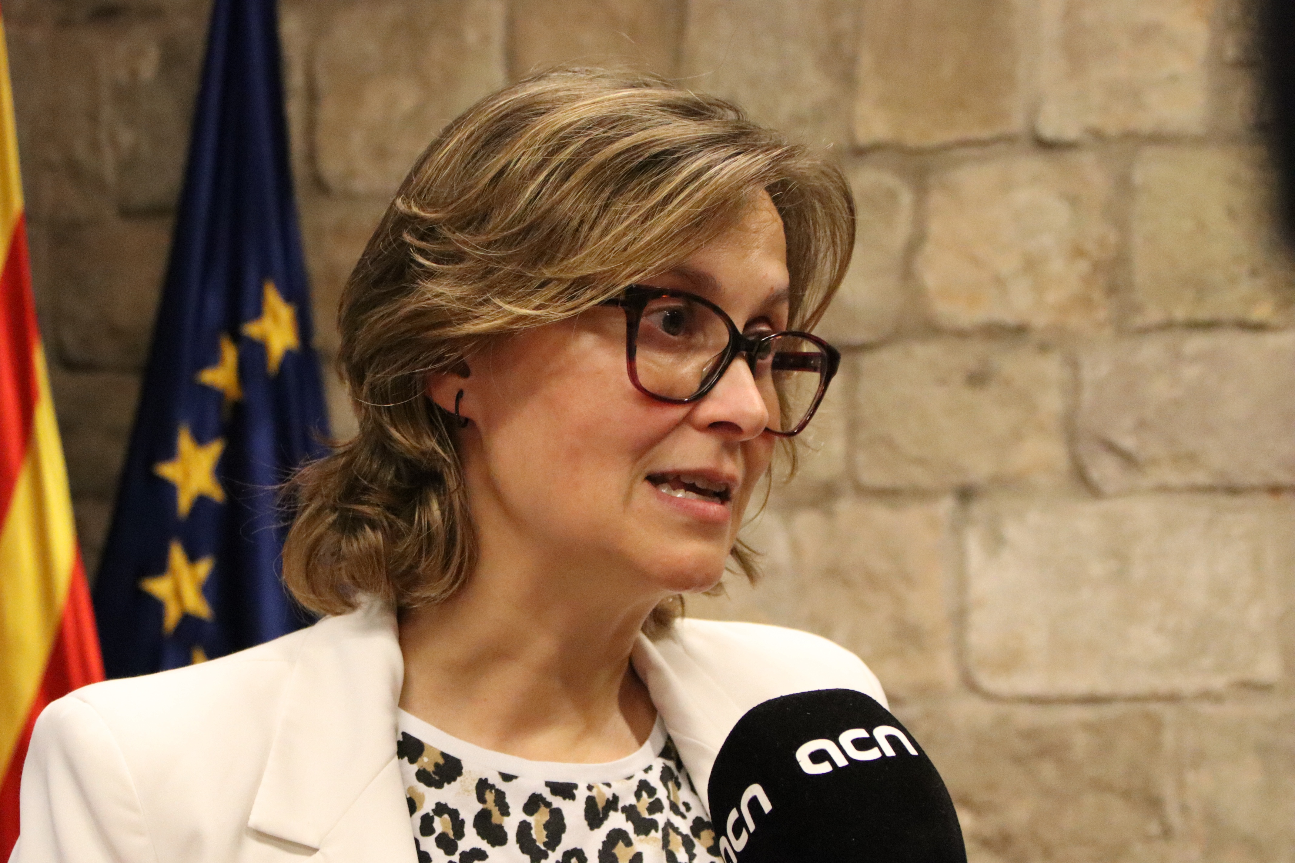 Meritxell Serret, sobre la oficialidad del catalán en la UE: "Soy optimista"