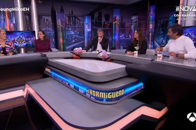 hormiguero2 hormiguero2