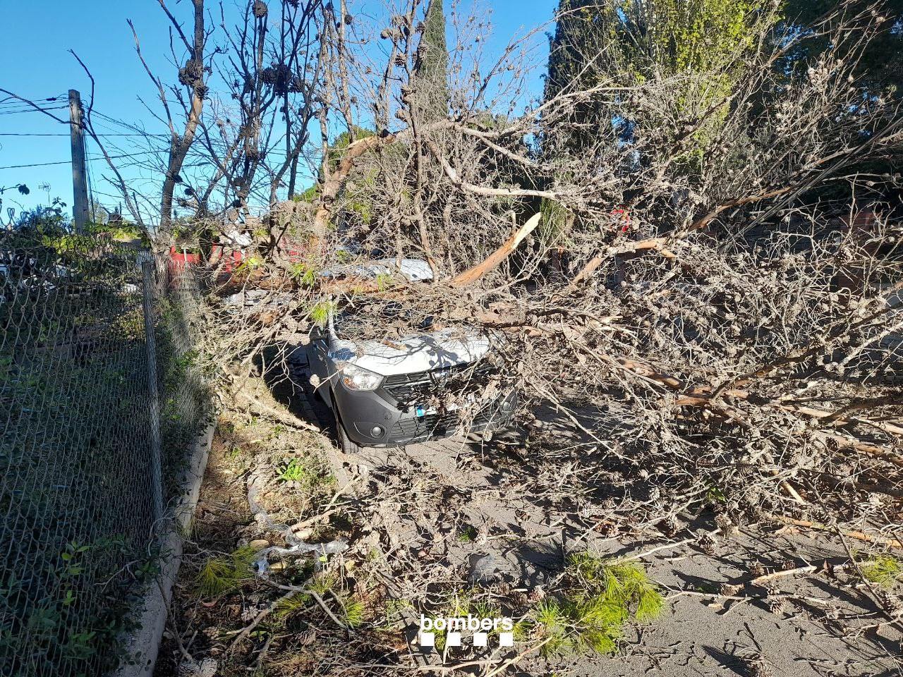 Protección Civil mantiene la alerta por fuertes vientos hasta el domingo al mediodía