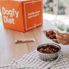 Dogfy Diet, la empresa que ofrece comida para perros por suscripción, mejor Startup de 2023
