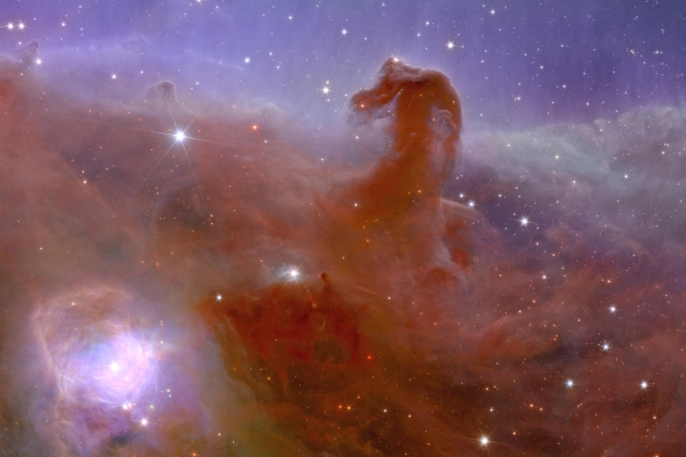 Nebulosa jefa de Caballo, Barnard 33, constelacio Orio, missio Euclid / Efe /ESA / Euclid Nebulosa jefa de Caballo, Barnard 33, constelacio Orio, missio Euclid / Efe /ESA / Euclid