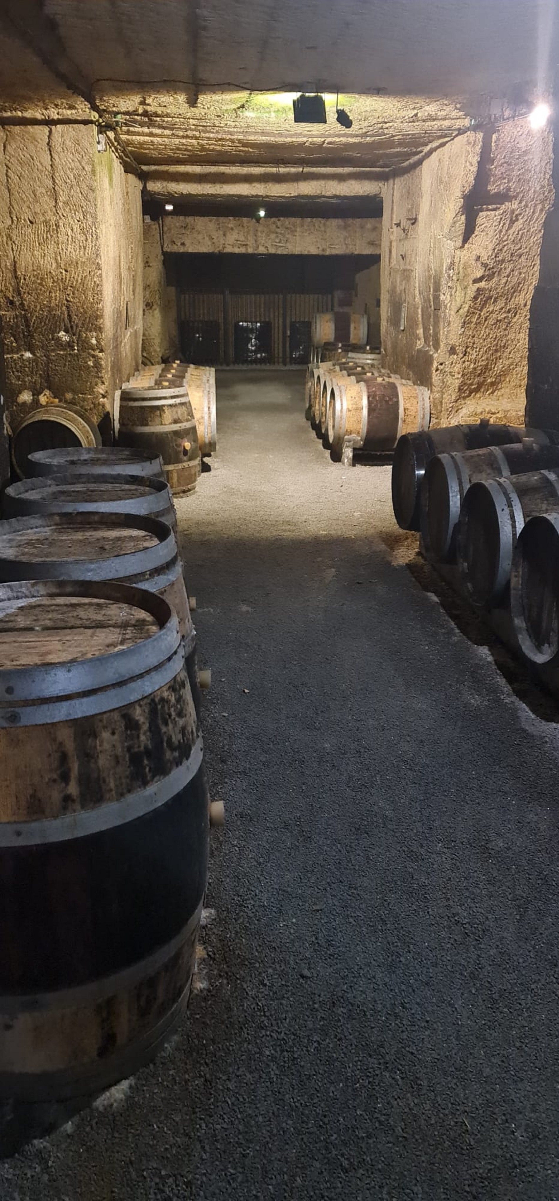 Sent Milió. Cava soterrània del celler on vam fer els tast de vins. Foto Josep Sabat Sent Milió. Cava soterrània del celler on vam fer els tast de vins. Foto Josep Sabat
