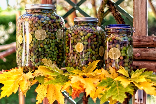 olives elie dib unsplash olives elie dib unsplash