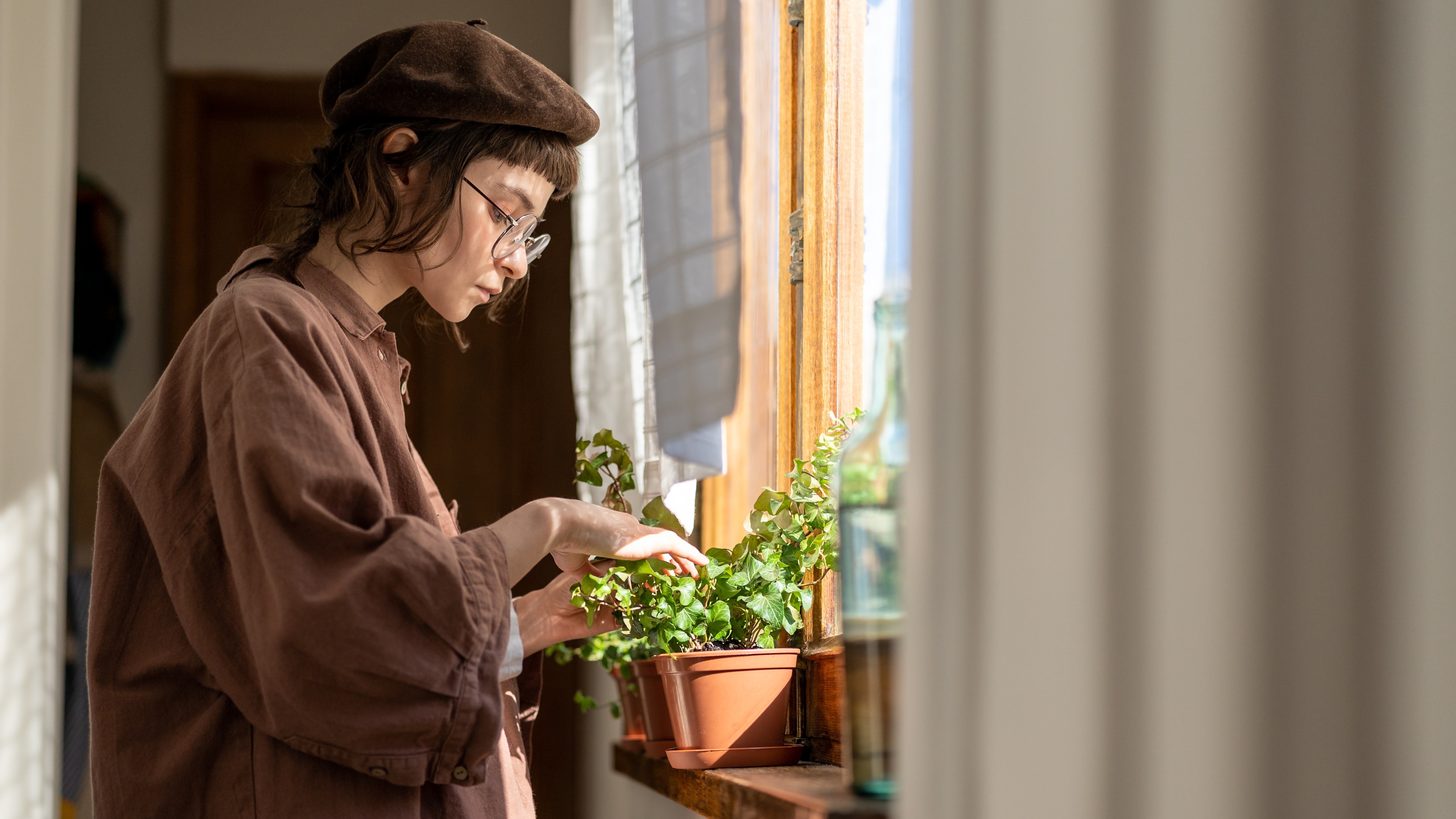 Según los interioristas, este 2026 las plantas grandes deben desaparecer de las salas de estar modernas