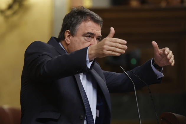 Aitor Esteba al debat d'investidura de Pedro Sánchez EFE Aitor Esteba al debat d'investidura de Pedro Sánchez EFE