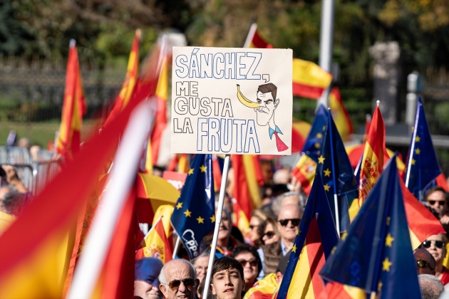 EuropaPress 5585016 cartel protesta manifestacion contra amnistía cibeles 18 noviembre 2023 EuropaPress 5585016 cartel protesta manifestacion contra amnistía cibeles 18 noviembre 2023