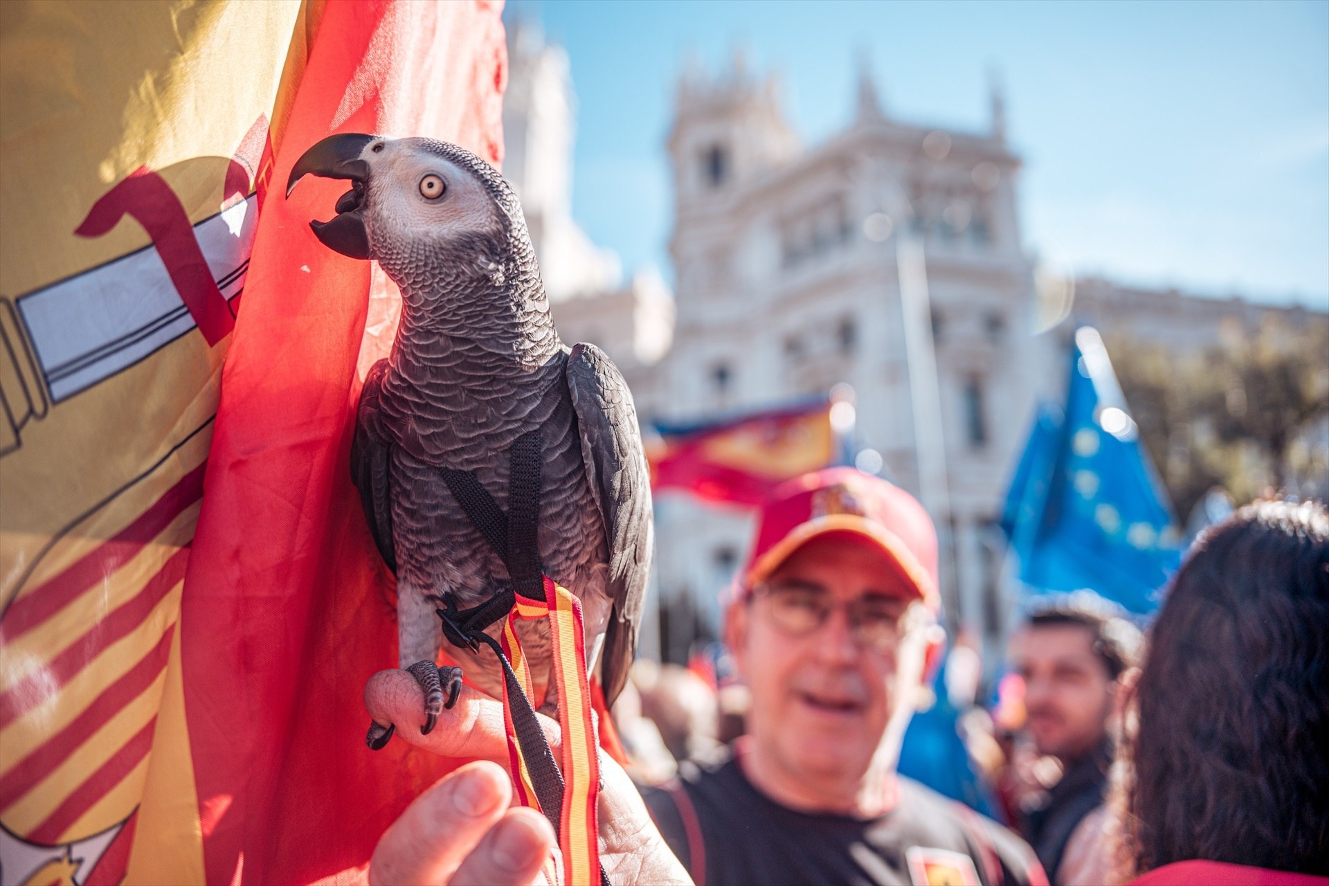 Les portades de Madrid amb detalls per fer feliç Federico Jiménez Losantos