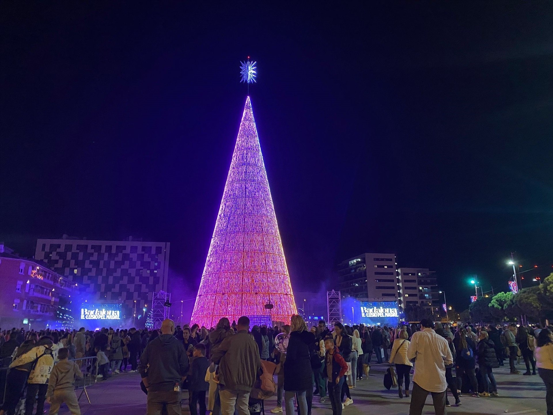Així és el famós arbre de Nadal de Badalona que fa 40 metres d'alçària | VÍDEO
