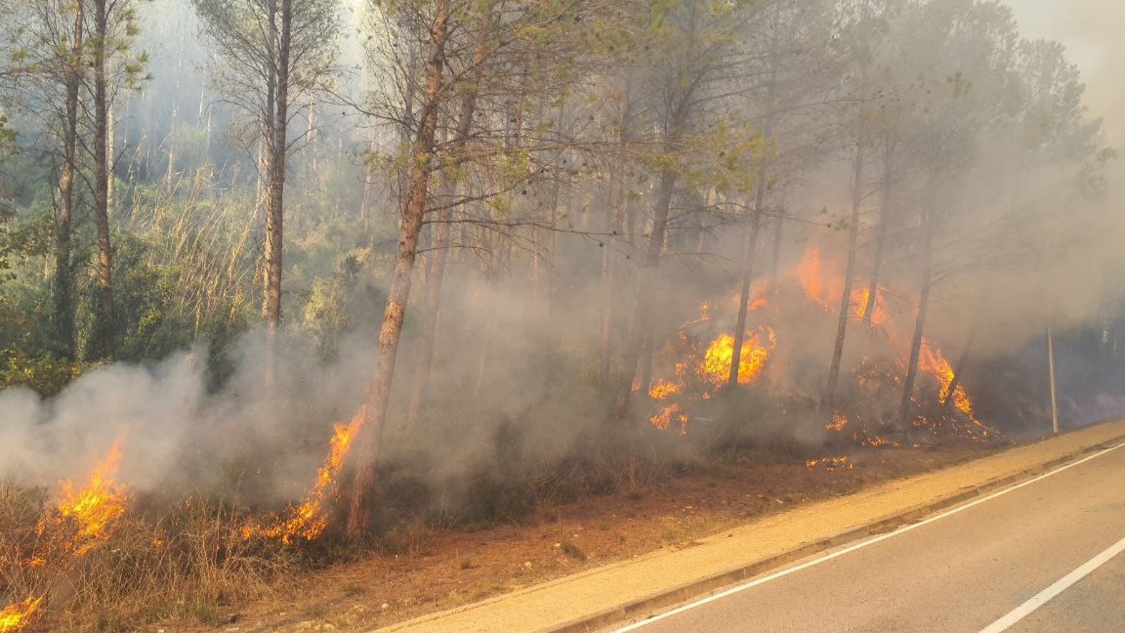 Incendio forestal en Sant Julià de Ramis: estabilizado el fuego en unos campos junto a la AP-7