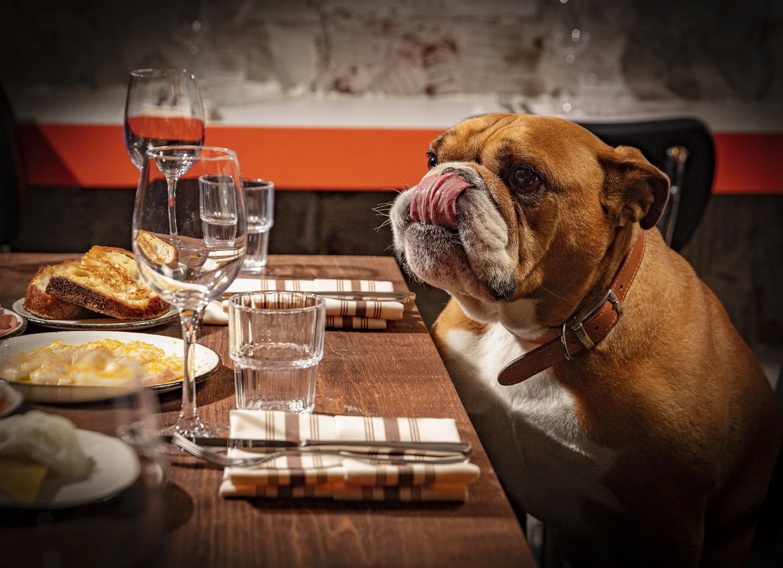 El primer restaurante de alta cocina para perros: ¿son el mejor hijo del hombre?