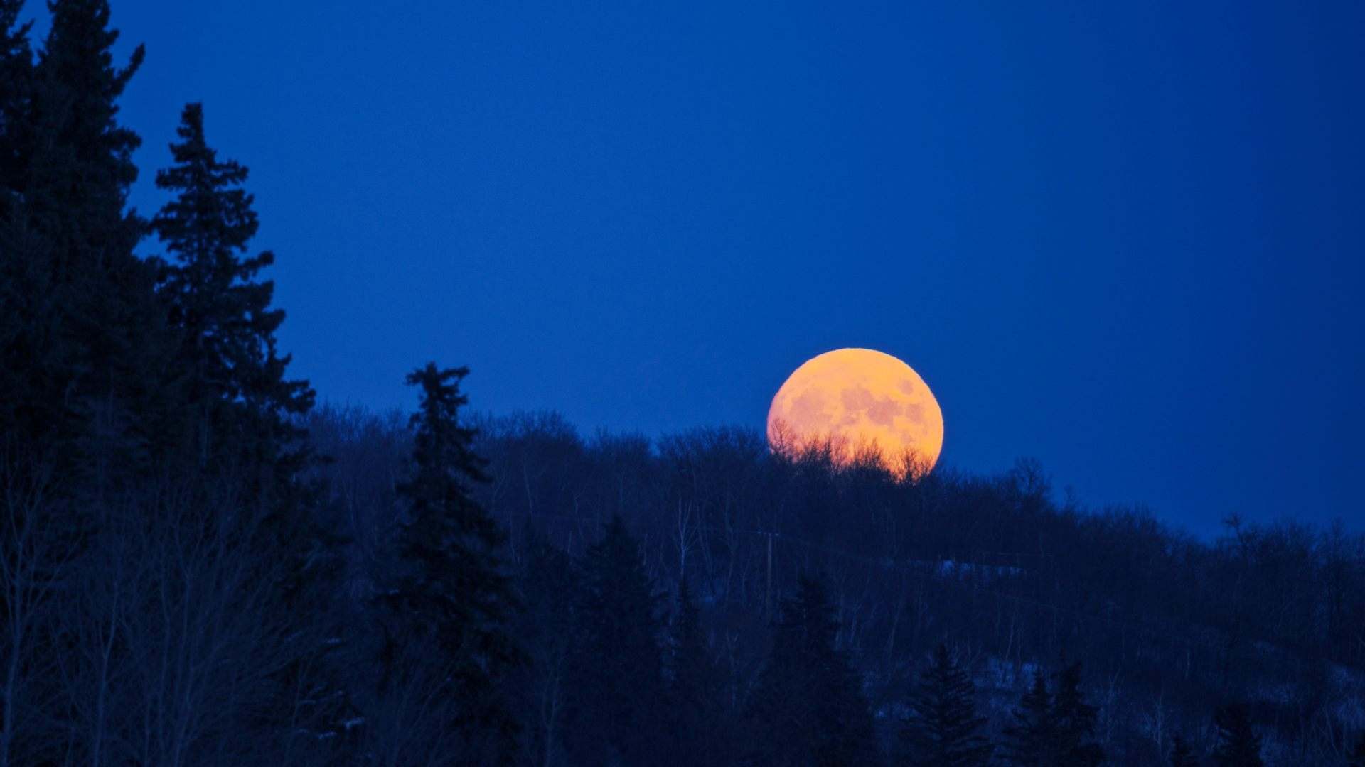 Luna llena de noviembre 2023: cuándo es y desde dónde ver la Luna del Castor en Catalunya