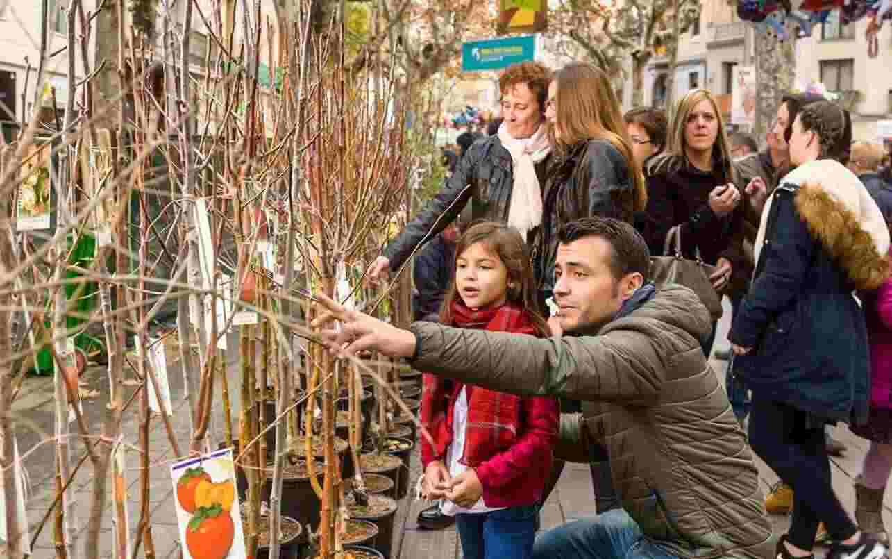 Fira de la Purísima de Sant Boi 2023: programa en PDF, mapa y todo lo que tienes que saber