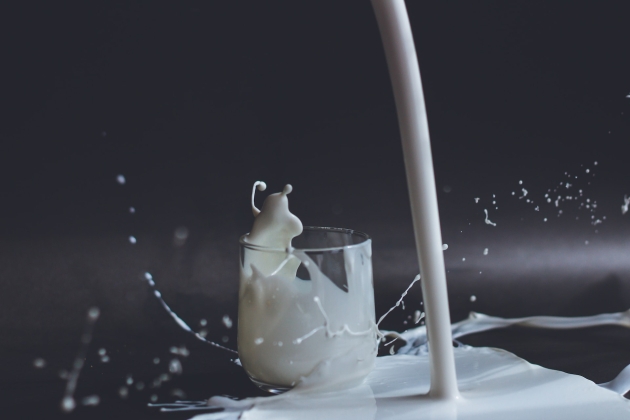 leche leche