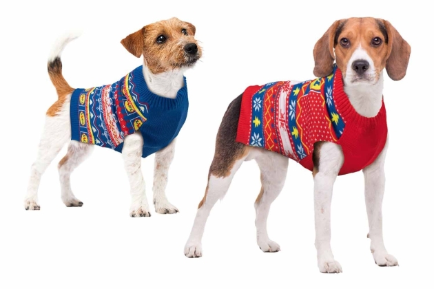 Jersey per a mascotes