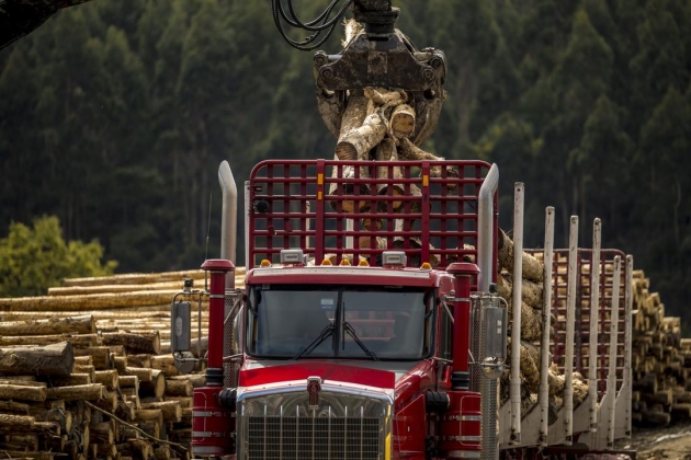 f62f8d8c2cc379c188d72766c40f4cee