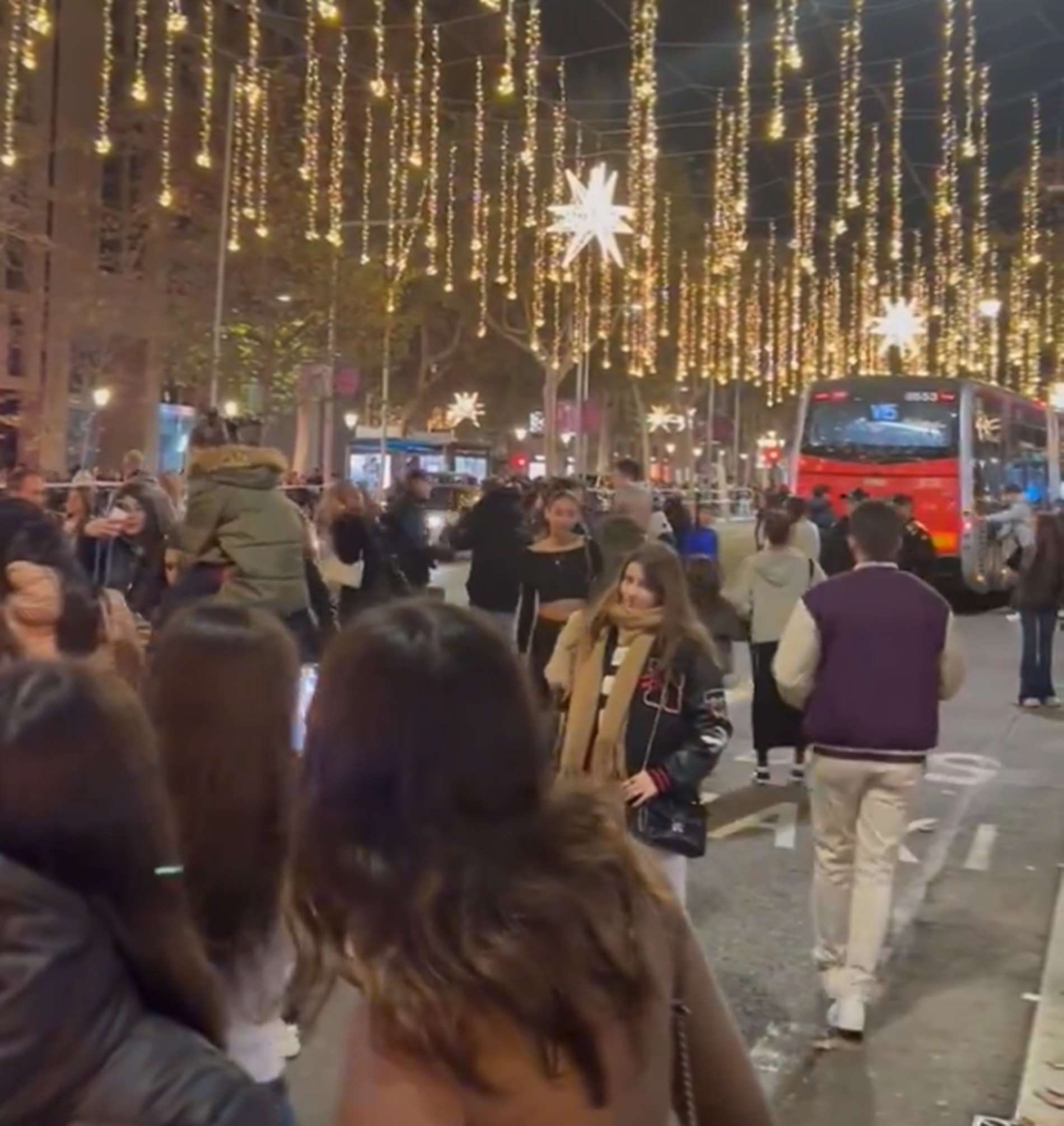 Acordonen el passeig de Gràcia per evitar les fotografies a la calçada amb els llums de Nadal