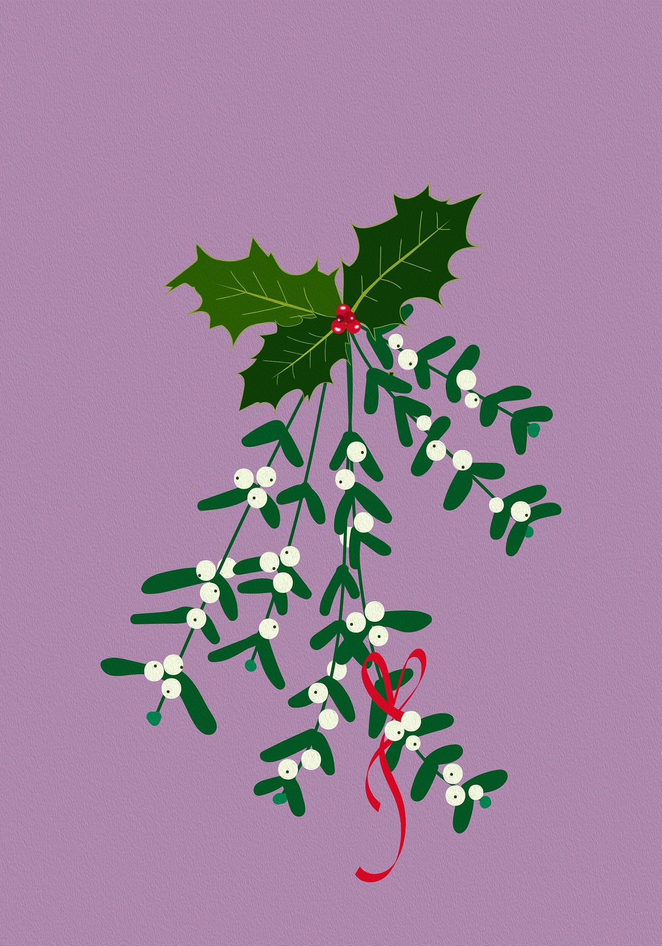 Vesc de Nadal / Bianca Van Dijk / Pixabay