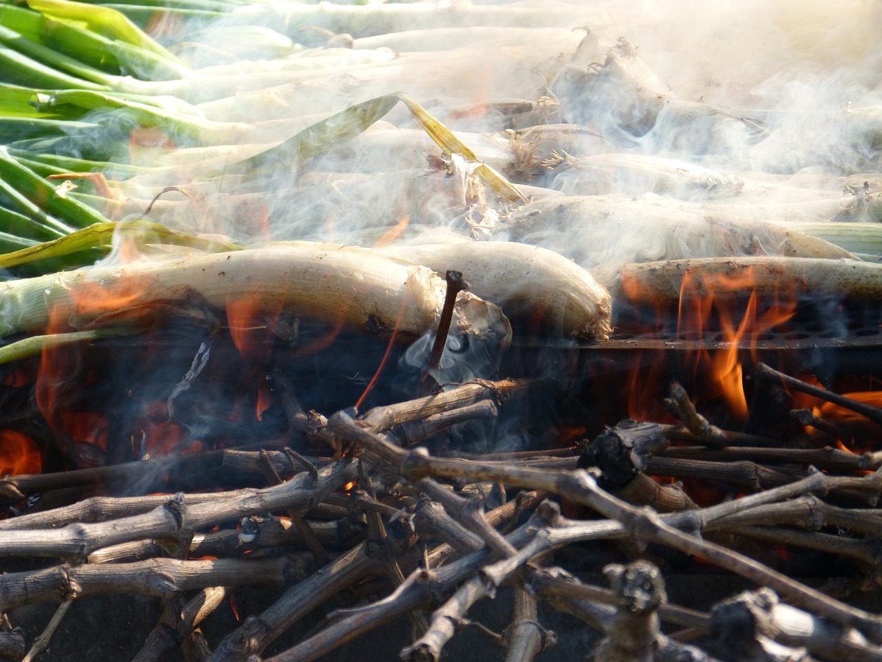 El truco infalible para encender el fuego si te vas de calçotada