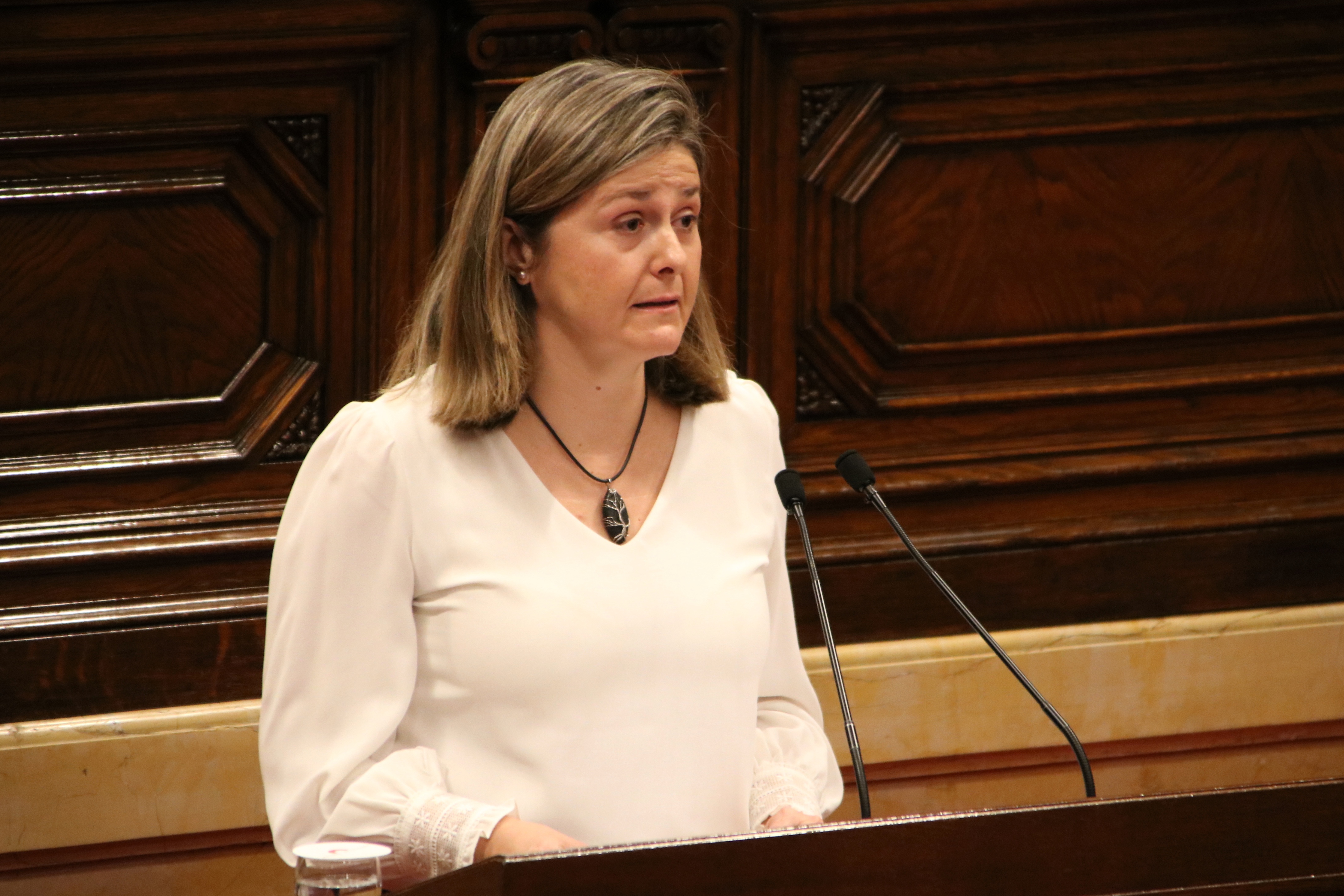 La síndica d'Aran reclama al Parlament un finançament singular i un diputat propi a la cambra catalana