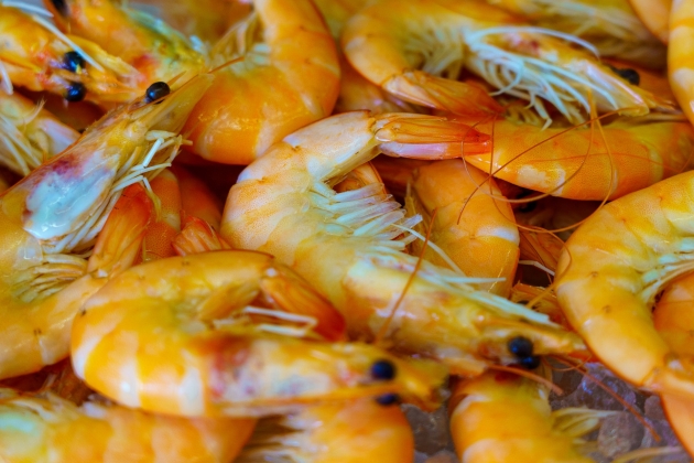 Gambas Cocidas Gambas Cocidas