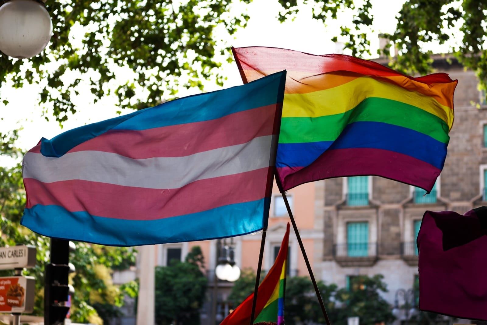 Manifestación en Madrid contra las reformas de las leyes LGTBI de Ayuso: "Ni un paso atrás"