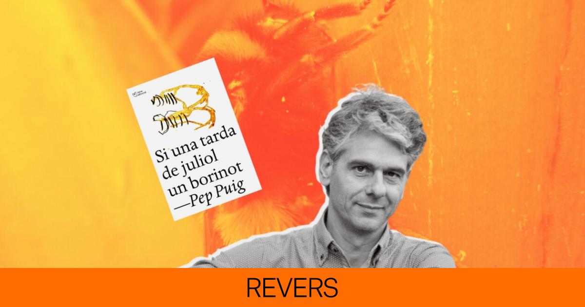 ¿Qué fue del abuelo?