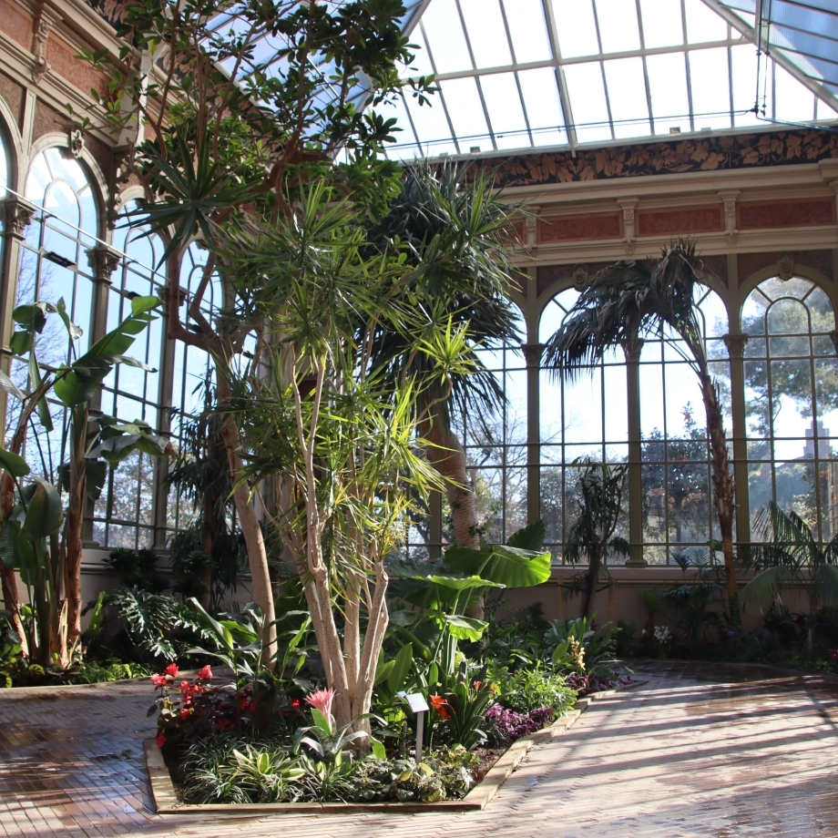 Interior del Invernadero de la Ciutadella después de la remodelación