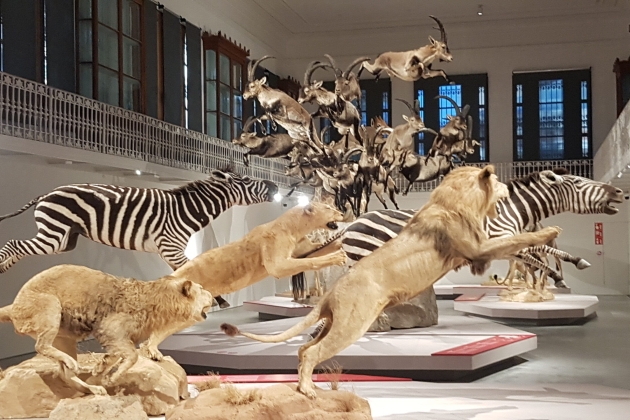 centre martorell exposicions 1 foto ajbcn