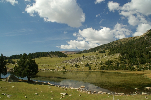 Estany de Malniu, Meranges