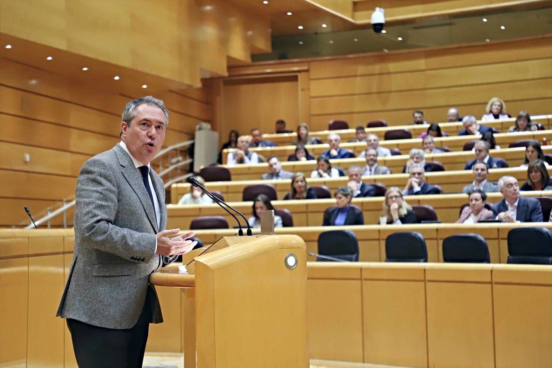 El PSOE recorre al TC la reforma del Reglament del Senat que dilata la tramitació de l’amnistia